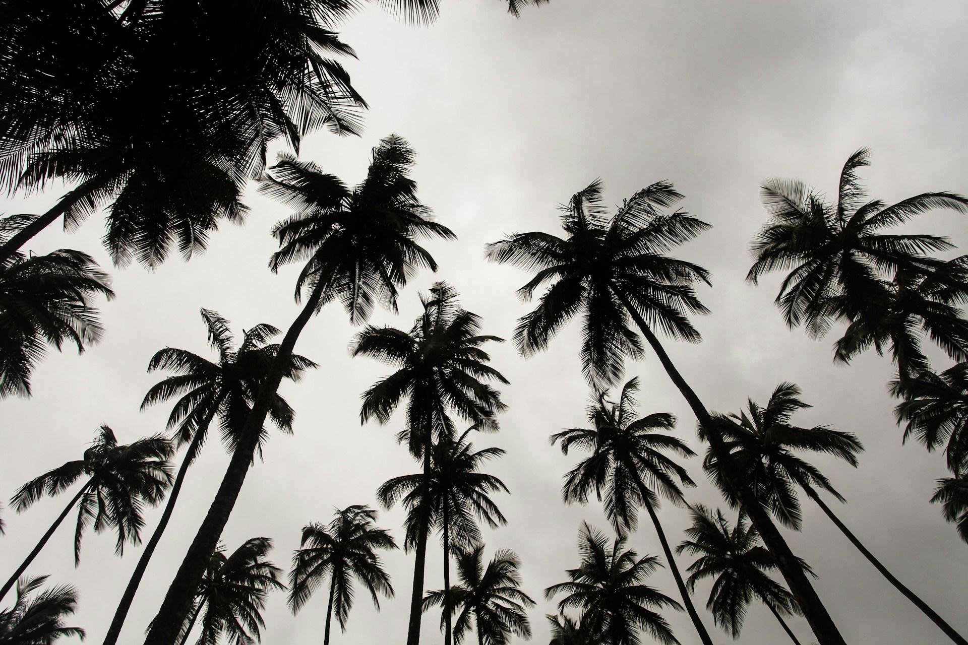 Driving in Liberia